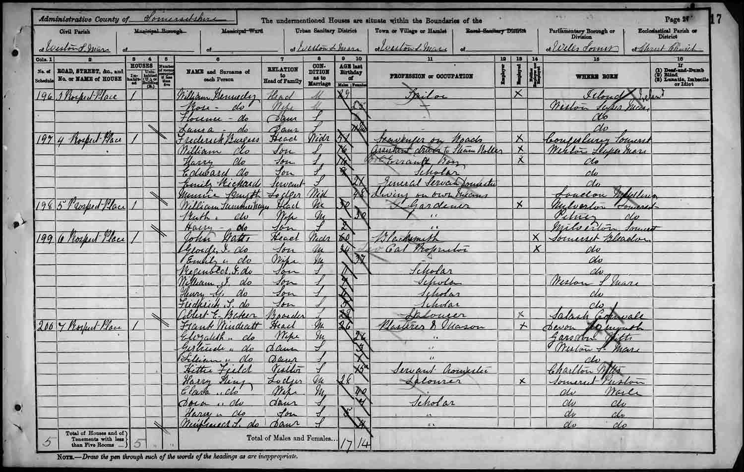 A Page from the 1891 Census