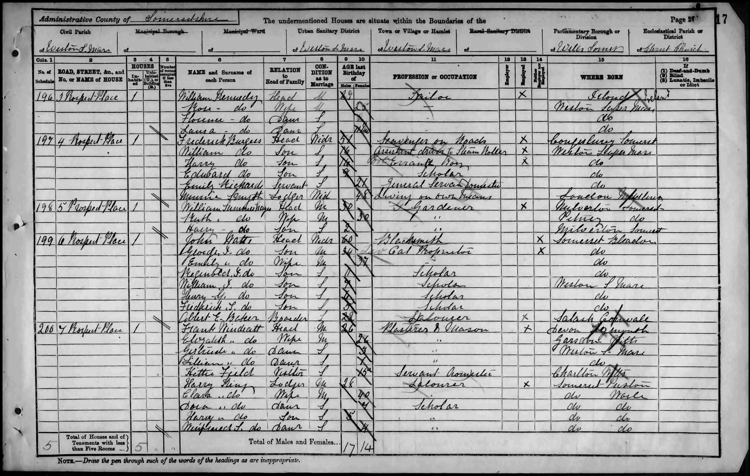 A Page from the 1891 Census